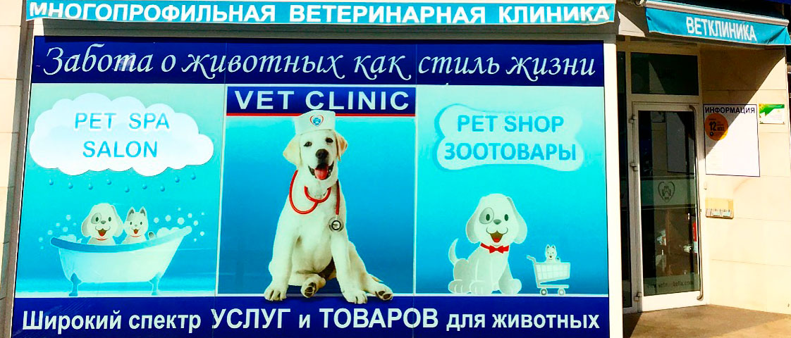 veterinary clinic Marbella