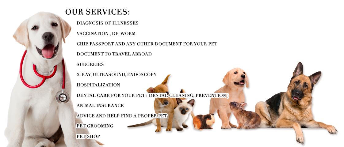 pet care services
